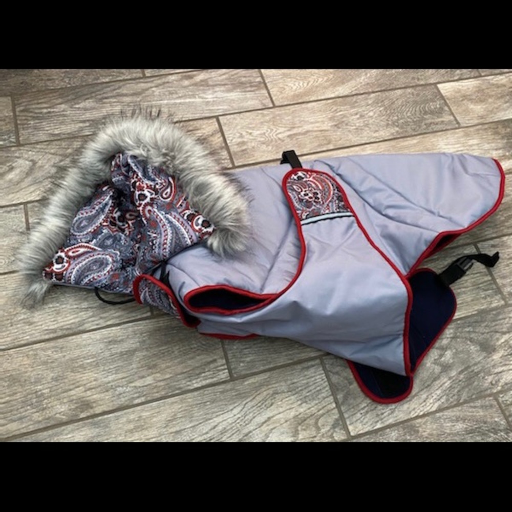Great Dane coat
